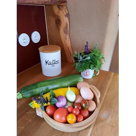 Hébergement de vacances Tiny House 