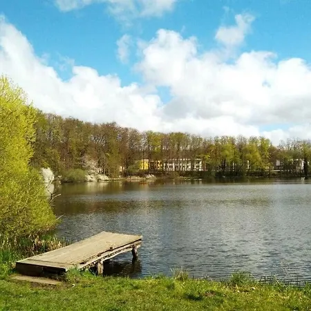 Hébergement de vacances Tiny House 